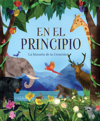 BIBLIA ILUSTRADA: EN EL PRINCIPIO