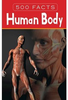 HUMAN BODY - 500 FACTS