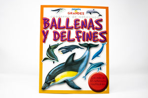 Ballenas Y Delfines