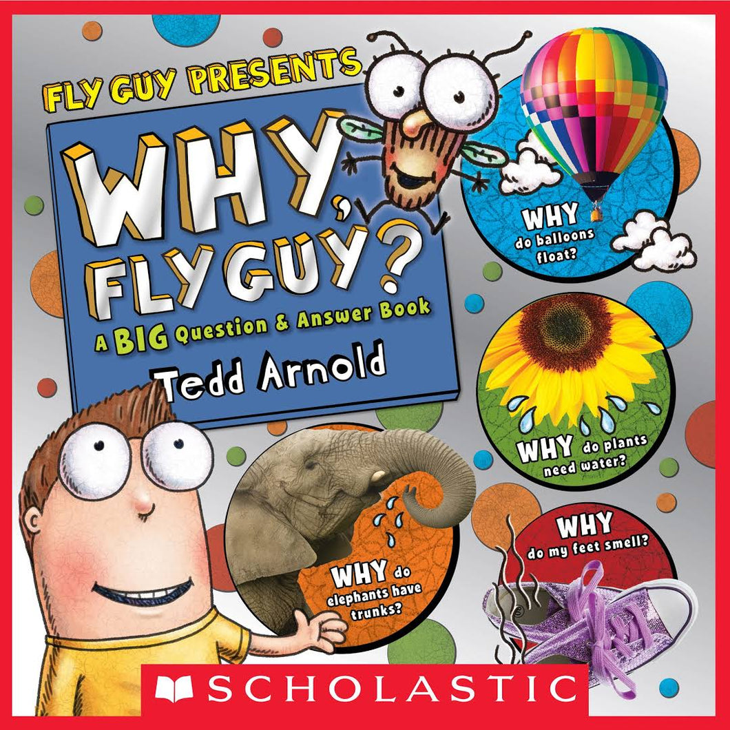 WHY, FLY GUY?